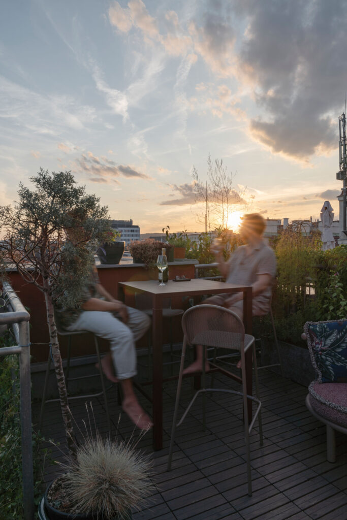 über den Dächern Wiens